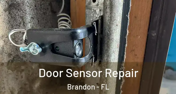  Door Sensor Repair Brandon - FL