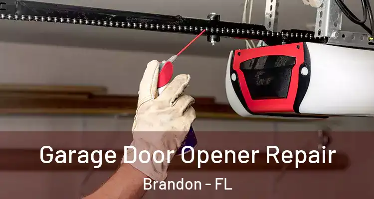  Garage Door Opener Repair Brandon - FL