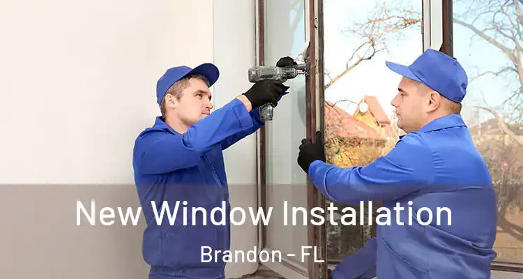  New Window Installation Brandon - FL